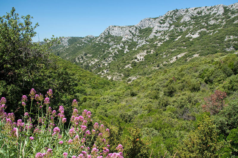 luberon